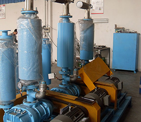 羅茨真空泵應(yīng)用案例